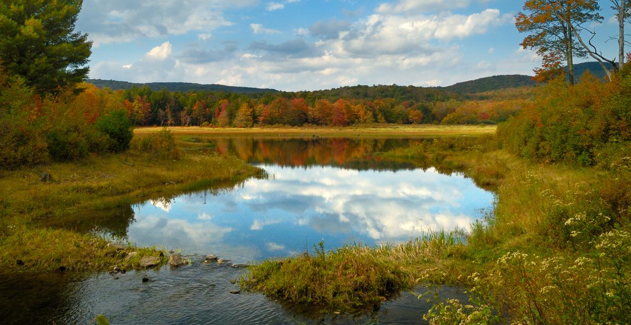 Fall View of Frick Pond in Catskill Park - Bill Roehrig
