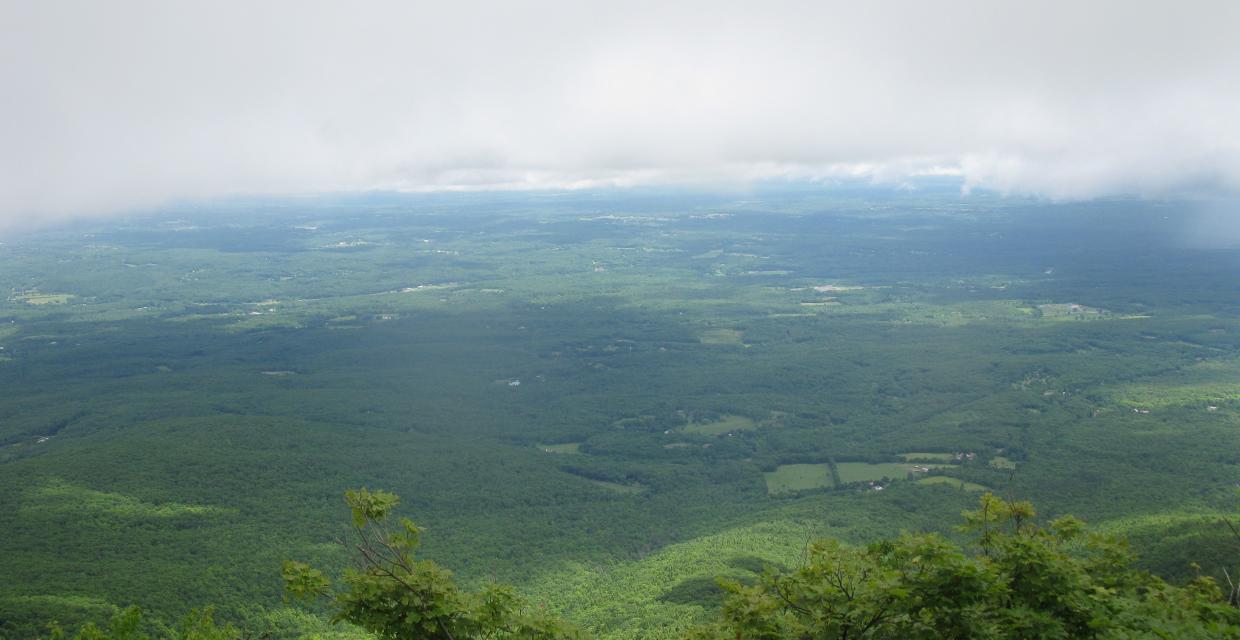 View from the summit of Windham High Peak in Catskill Park. Photo by Daniel Chazin.
