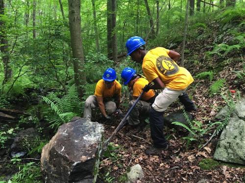 Conservation Corps members working in New Jersey