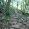 Trail rock steps along the Appalachian Trail. Photo by Daniel Chazin