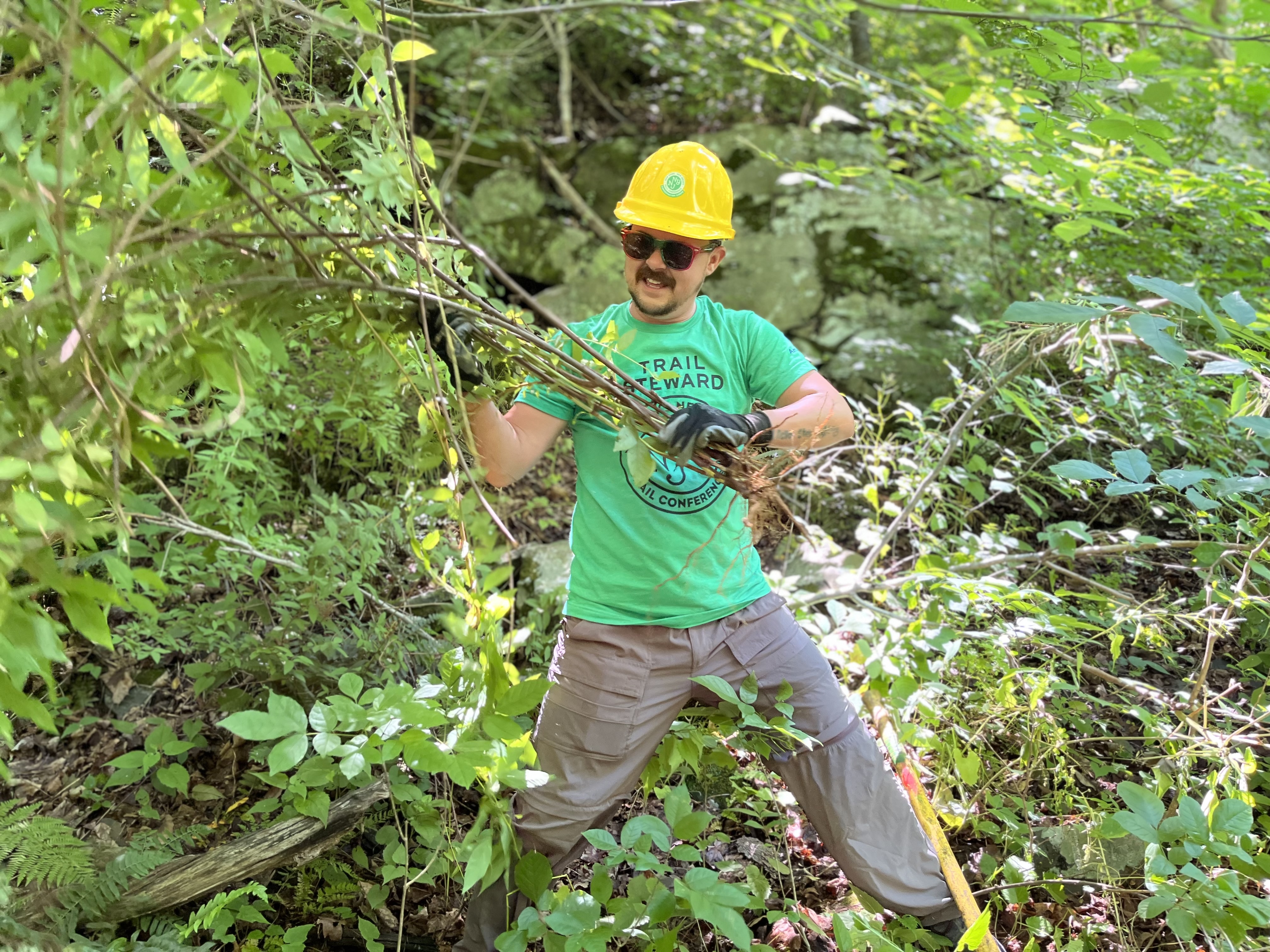 Crew Member working with invasive plants. 