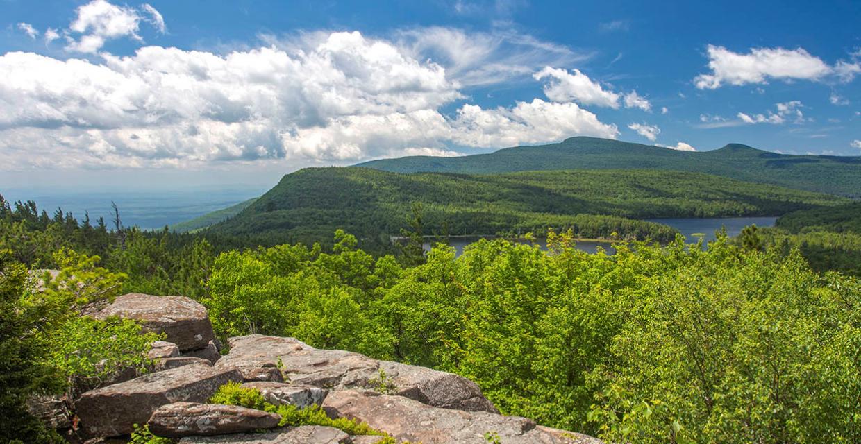 View of the Catskills from the Escarpment Trail - Catskill Park - Photo credit: Jeremy Apgar