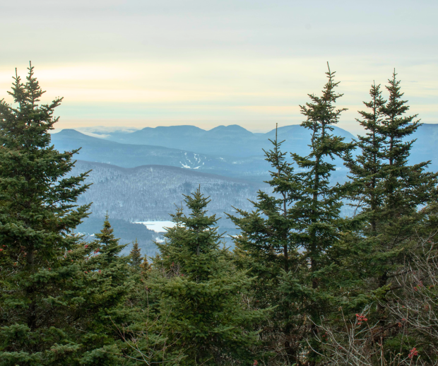 View of Devils Path in late winter from Blackdome in the Catskills