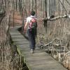 A hiker on the boardwalk on the west side of Stump Pond - Photo by Daniel Chazin