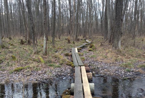 Appalachian Trail puncheon replacement project near Wallkill Wildlife Refuge.