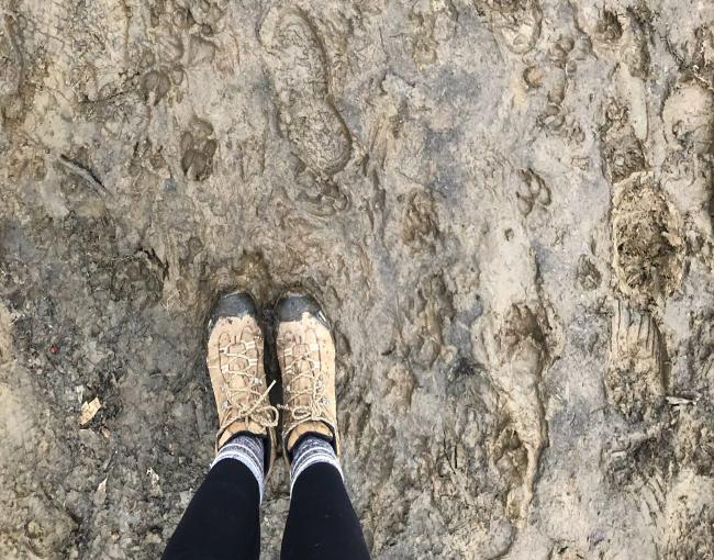 Mud Season. Photo by Heather Darley.