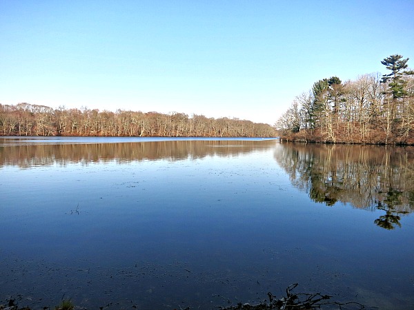 View of Stump Pond, looking east from the west side of the pond. Photo by Daniel Chazin.